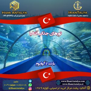 کاربرد قانون 20 درصد در طراحی پست و استوری اینستاگرام 